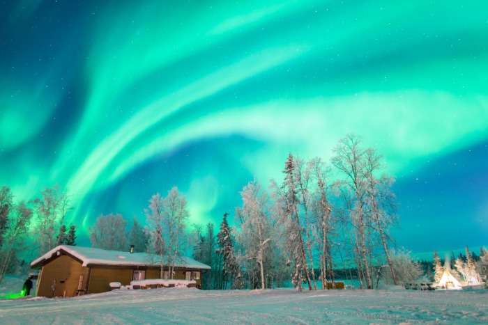 国青展现非,凡实力,沙特教练力,明发彩票,互动竞猜平台,在线娱乐,预测挑战,明发彩票APP下载