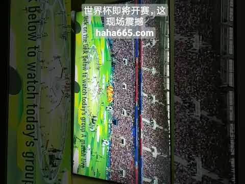 王钰栋中超,首进球跪地,庆祝,明发彩票,互动竞猜平台,在线娱乐,预测挑战,明发彩票APP下载