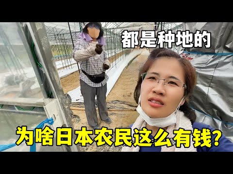 雷霆大胜火,切特创赛季,得分新高,明发彩票,互动竞猜平台,在线娱乐,预测挑战,明发彩票APP下载